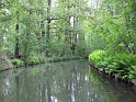 bild (109)
